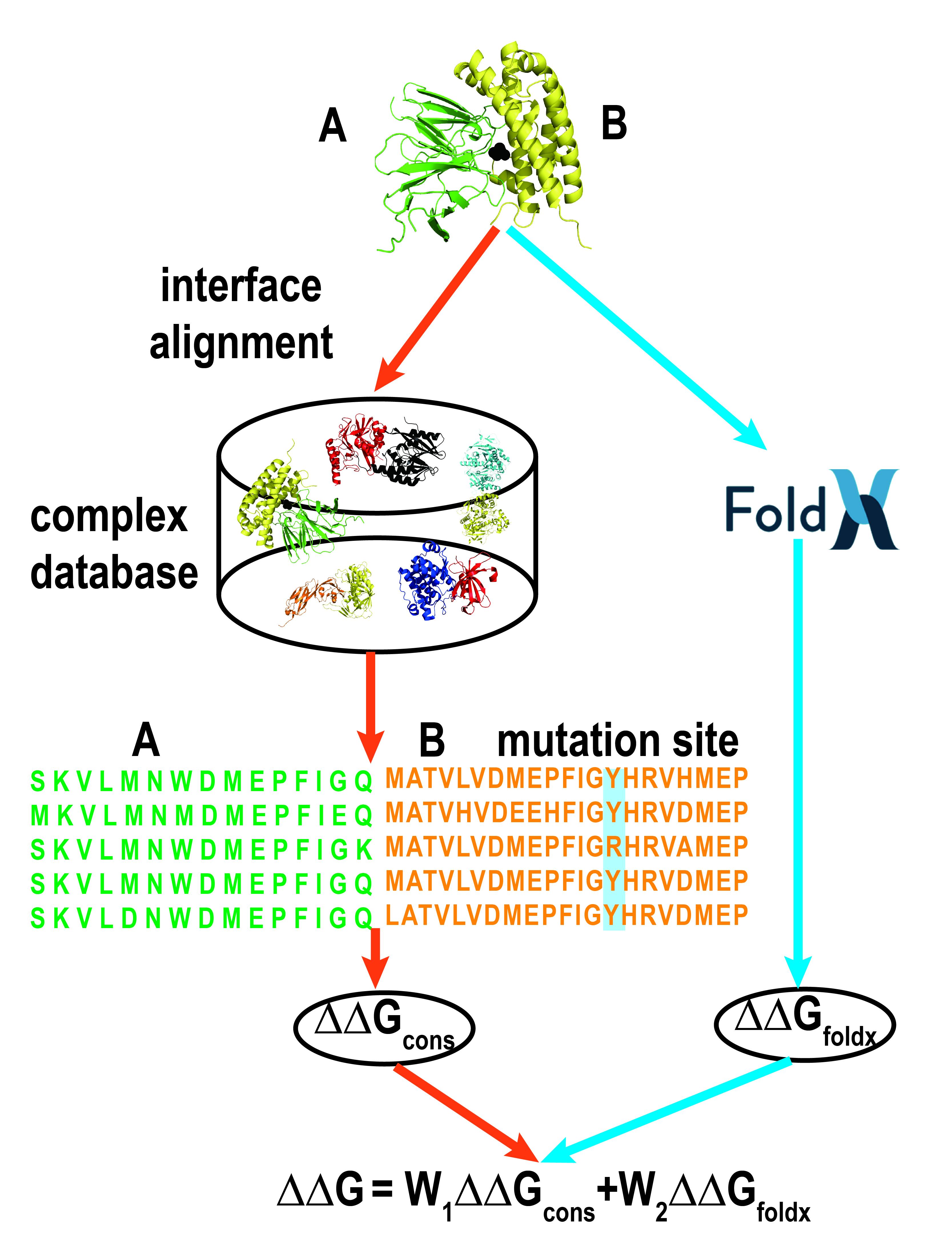 BindProfX flowchart