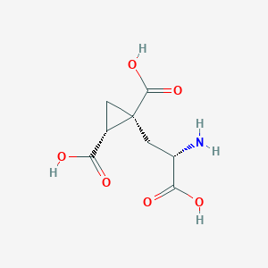 2D structure