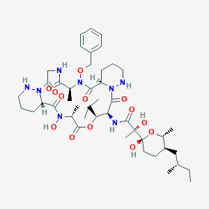 2D structure