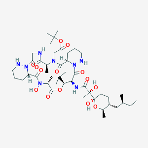 2D structure