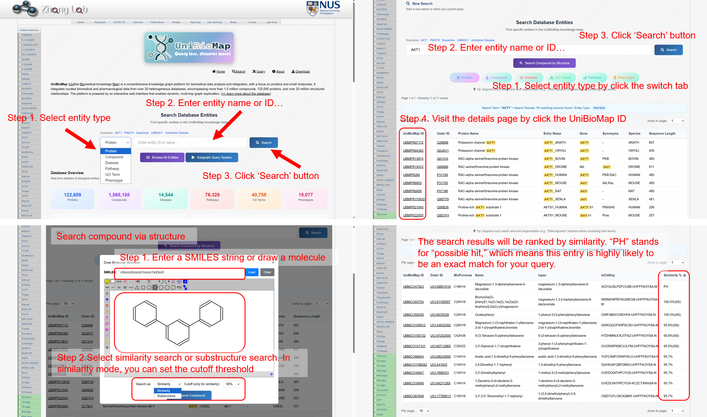 Search Interface Overview